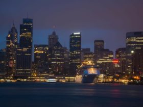 Amazing Bucks Party Harbour Cruises in Australia-min