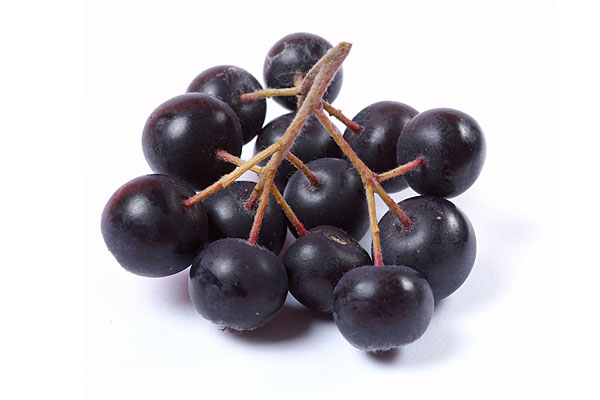 Aronia Berries