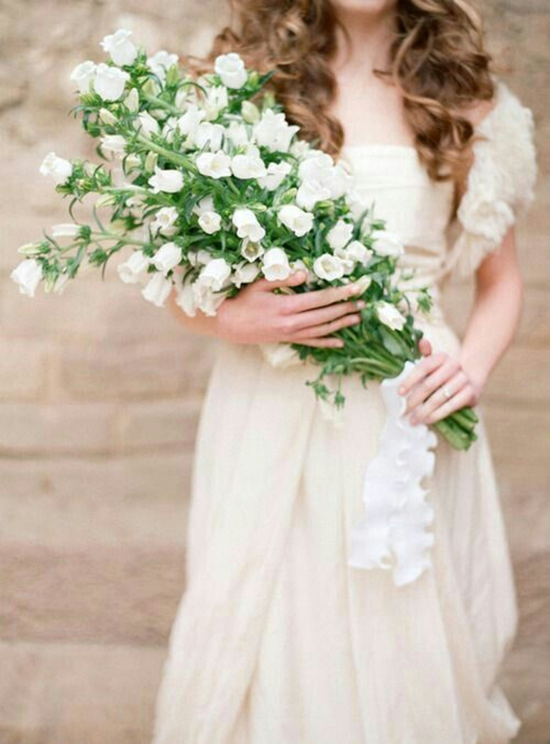 Campanula flower bouquet