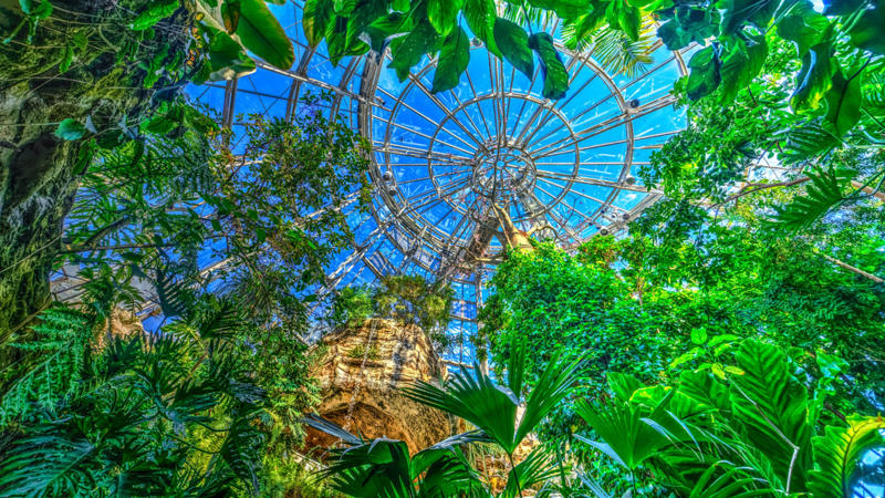 Cockrell Butterfly Center In Houston