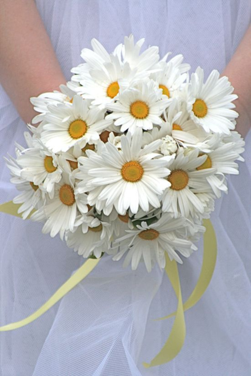 Daisy flower bouquet