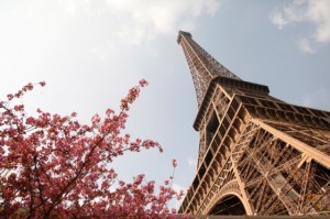 France Wedding Destination