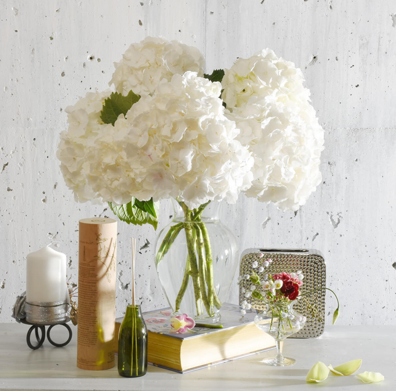 Hydrangeas flower bouquet