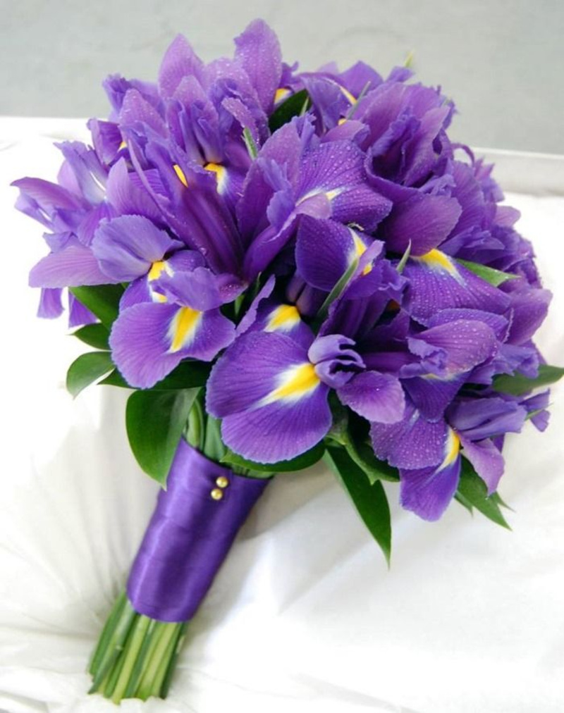 Iris flower bouquet