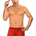 Mens christmas boxer shorts