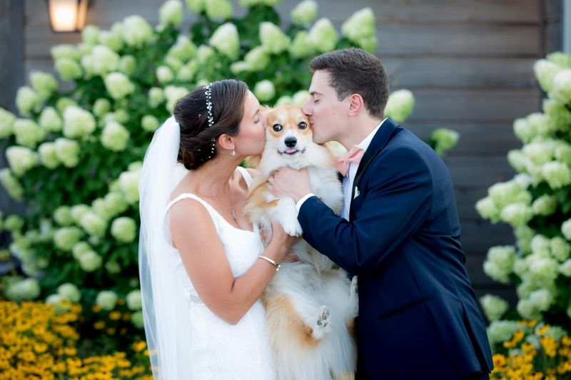 Pet wedding party photo