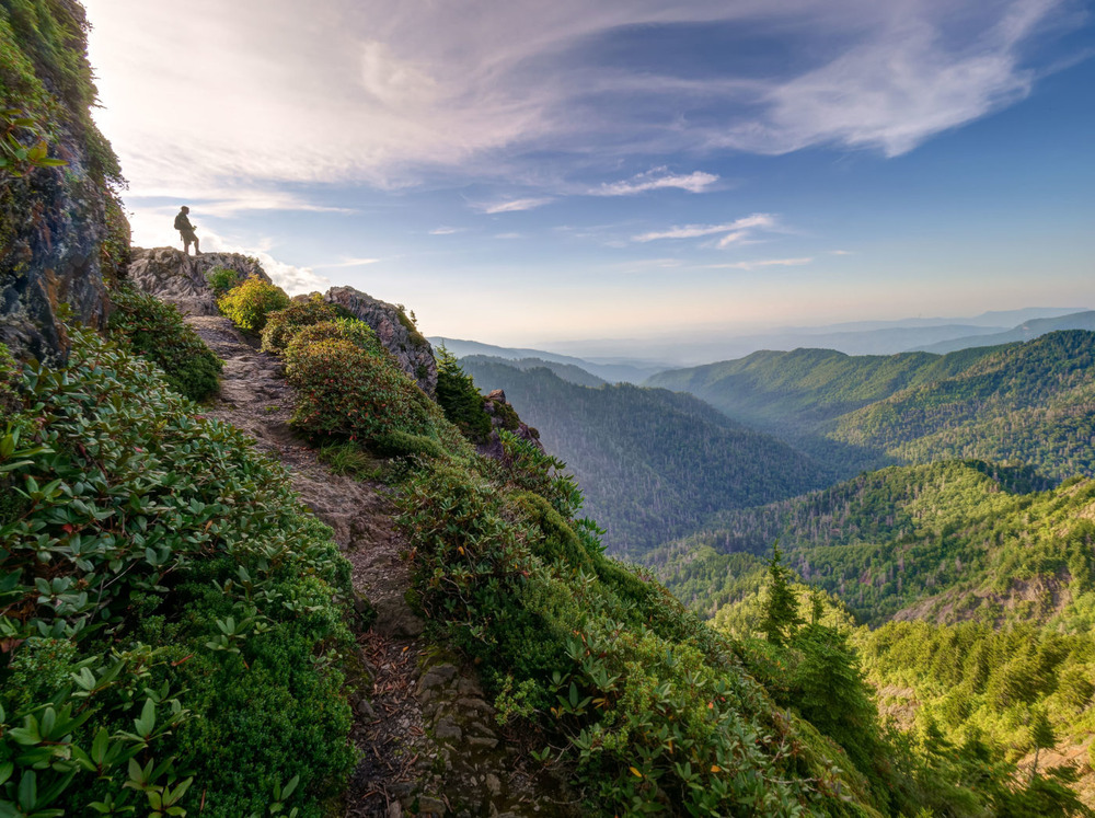 The Appalachian Trail