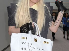 The Birkin Lady Gaga Bag