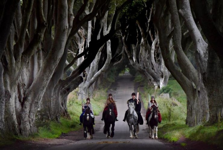 The Dark Hedges