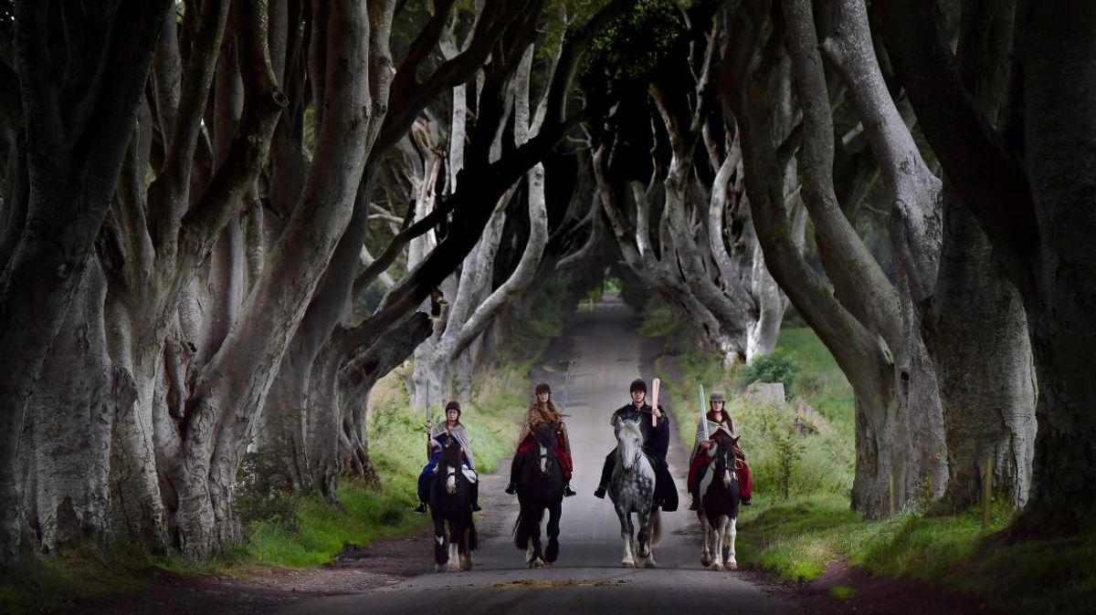 The Dark Hedges