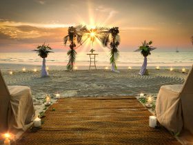 Tips for Planning Your Dream Wedding