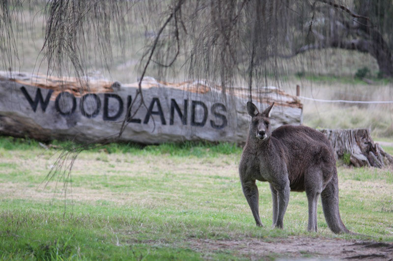 Woodlands Historic Park Victoria