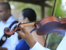 Wedding Band Musicians